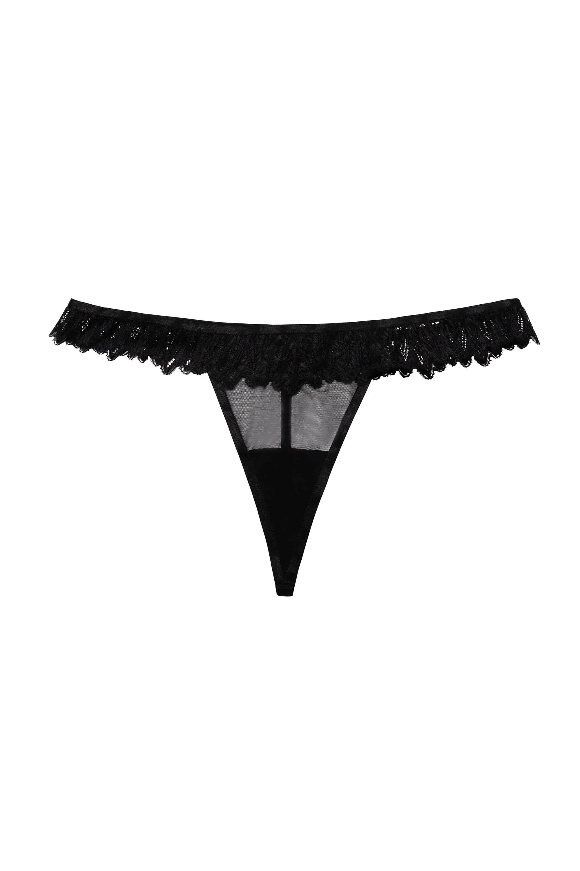 Hustler Margot Black Lace and Mesh Hipster Brief